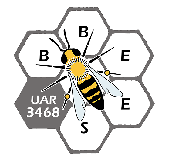 Logo BBEES